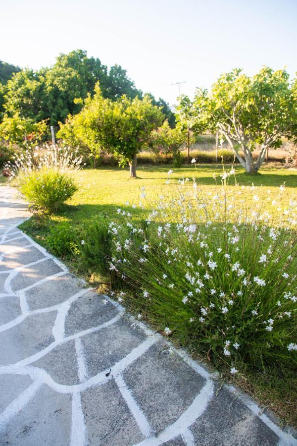 Livadi House Villa Theológos Eksteriør bilde