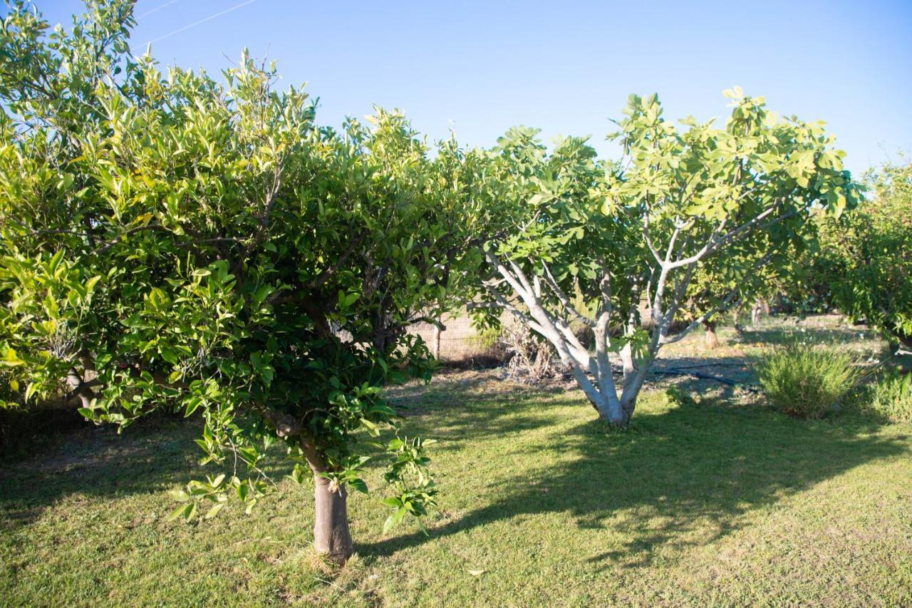 Livadi House Villa Theológos Eksteriør bilde